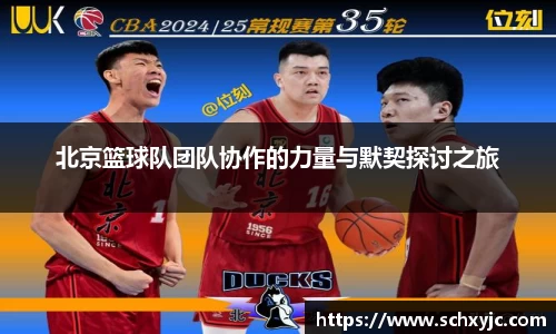 北京篮球队团队协作的力量与默契探讨之旅