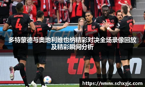 多特蒙德与奥地利维也纳精彩对决全场录像回放及精彩瞬间分析